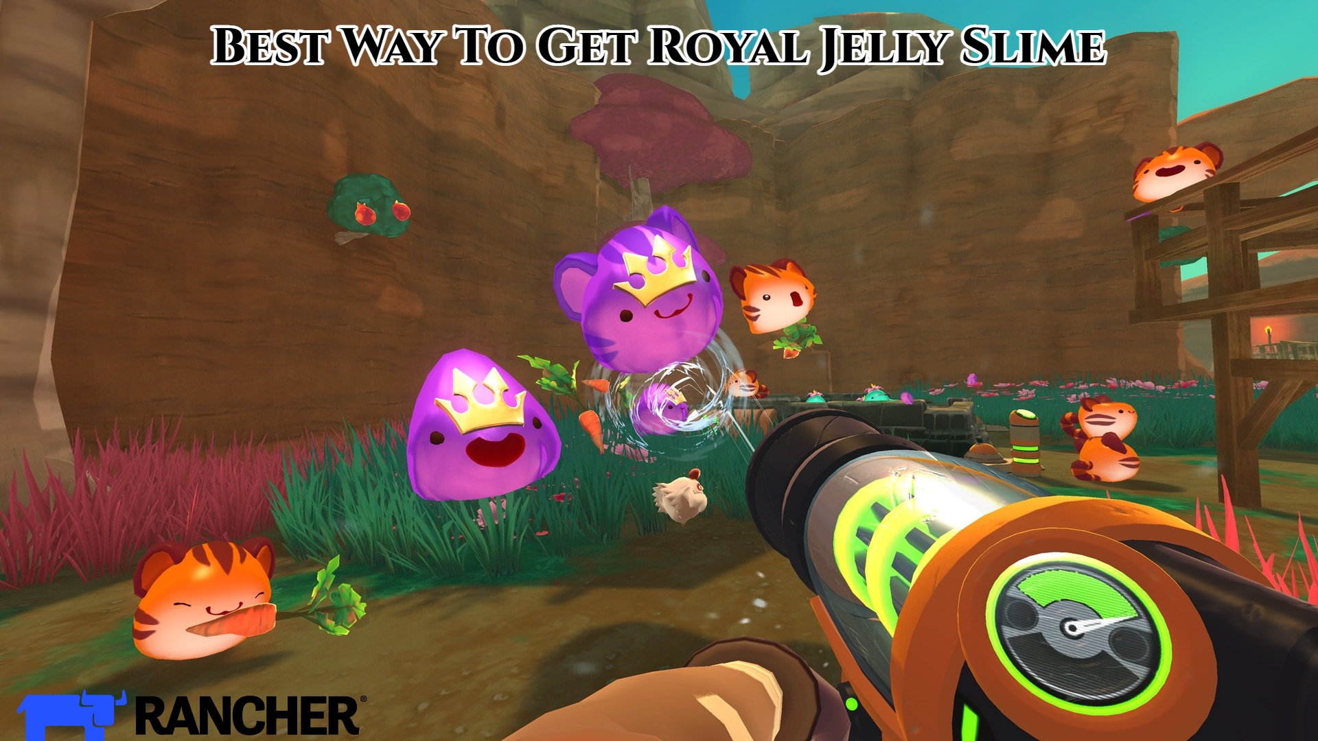 Read more about the article Best Way To Get Royal Jelly Slime In Rancher