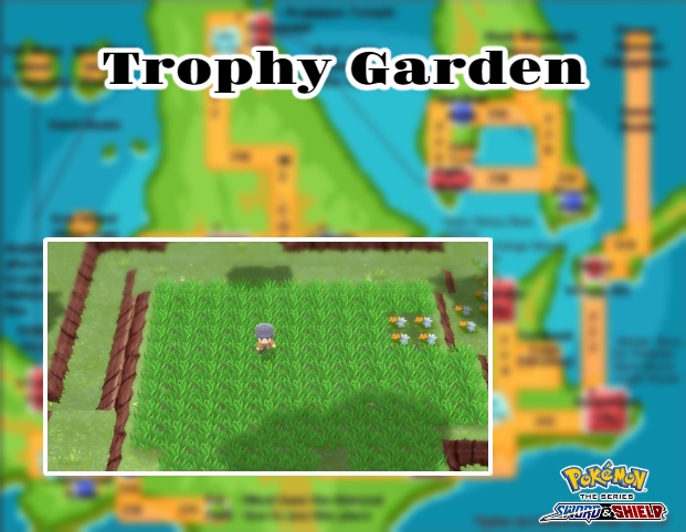 Read more about the article Pokemon Brilliant Diamond And Shining Pearl Trophy Garden