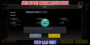 Read more about the article PUBG 1.8.0 Anti Report Magisk Module Hack C2S4