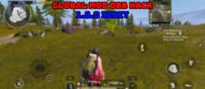 Read more about the article PUBG Mobile Global 1.8.0 No Recoil 32Bit MOD OBB C2S4