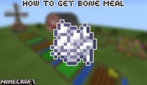 Read more about the article How To Get Bone Meal In Minecraft 