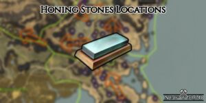 Read more about the article New World Honing Stones Locations