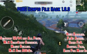 Read more about the article PUBG 1.8.0 Config File Hack Download For C2S4