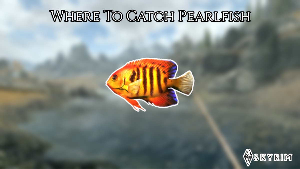 Read more about the article Where To Catch Pearlfish In Skyrim