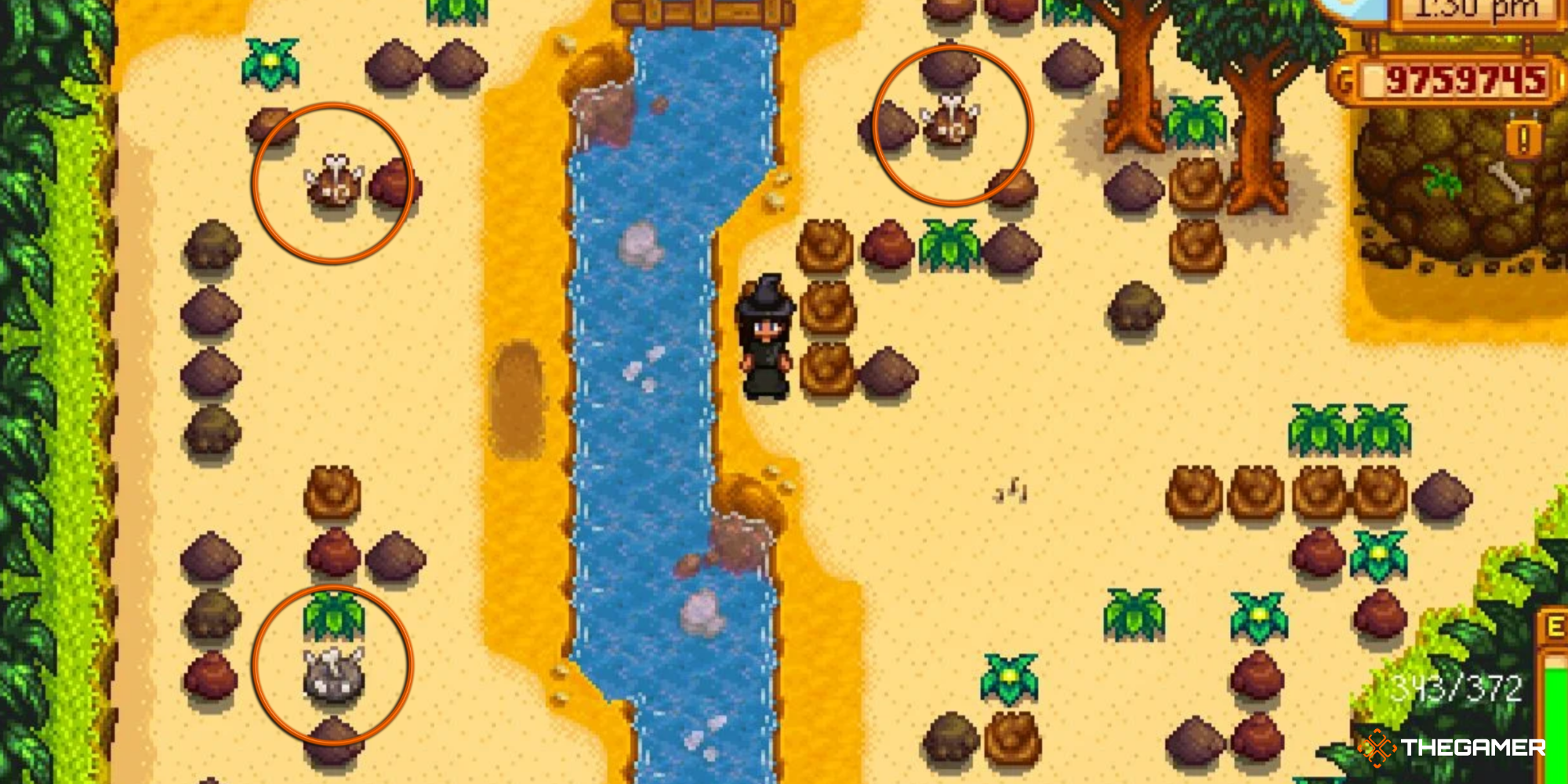 Stardew Valley Ginger Island Dig Site Bone Nodes