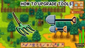 Read more about the article How To Upgrade Tools In Stardew Valley