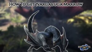 Read more about the article How To Get Nargacuga Marrow MHR