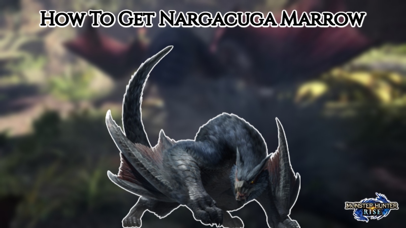 You are currently viewing How To Get Nargacuga Marrow MHR