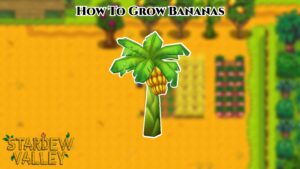 Read more about the article How To Grow Bananas In Stardew Valley