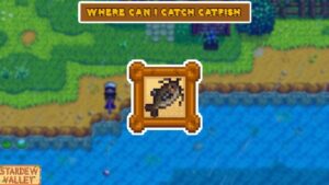 Read more about the article Where Can I Catch Catfish In Stardew Valley