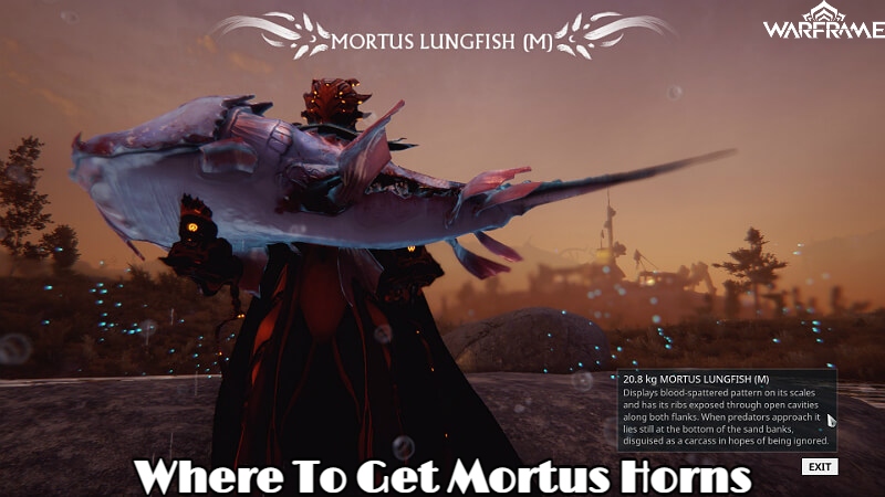 You are currently viewing Where To Get Mortus Horns In Warframe