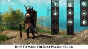 Read more about the article How To Make The Best Paladin Build In New World