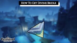 Read more about the article How To Get Divine Bridle In Genshin Impact