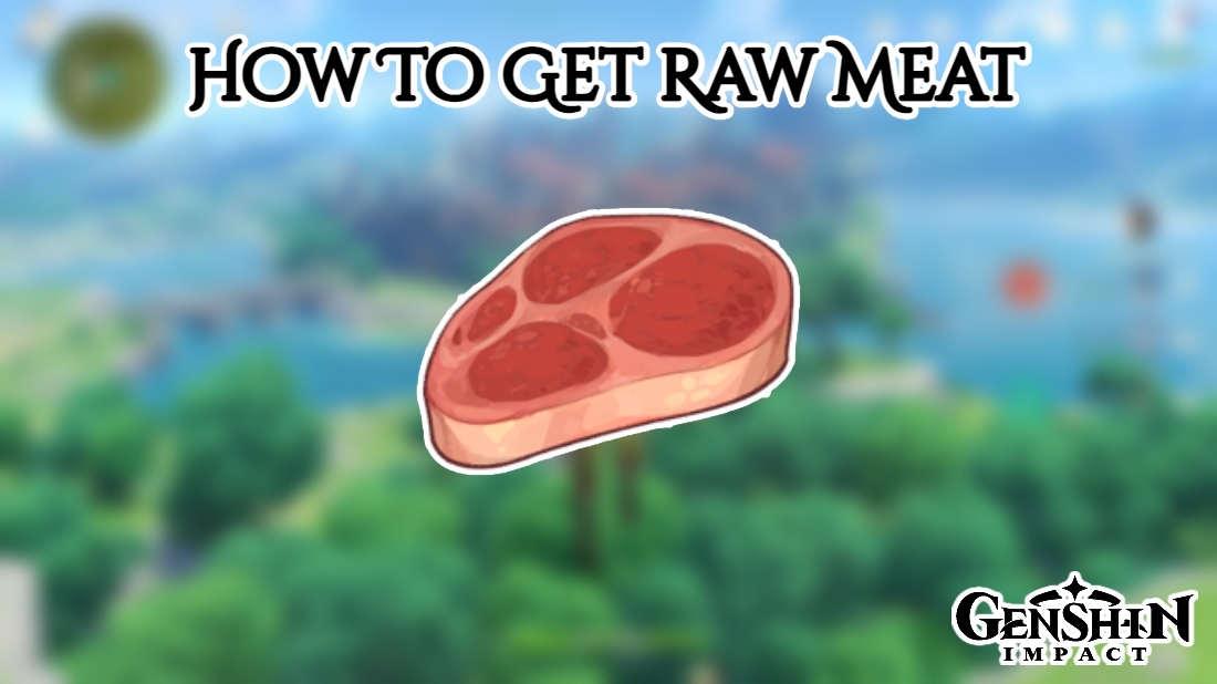 You are currently viewing How To Get Raw Meat In Genshin Impact