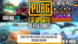 Read more about the article How To Fix PUBG Game Crash 1.8.0 C2S4