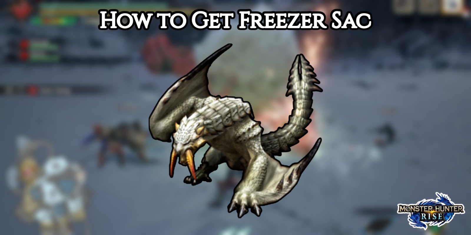 You are currently viewing How to Get Freezer Sac In MHR