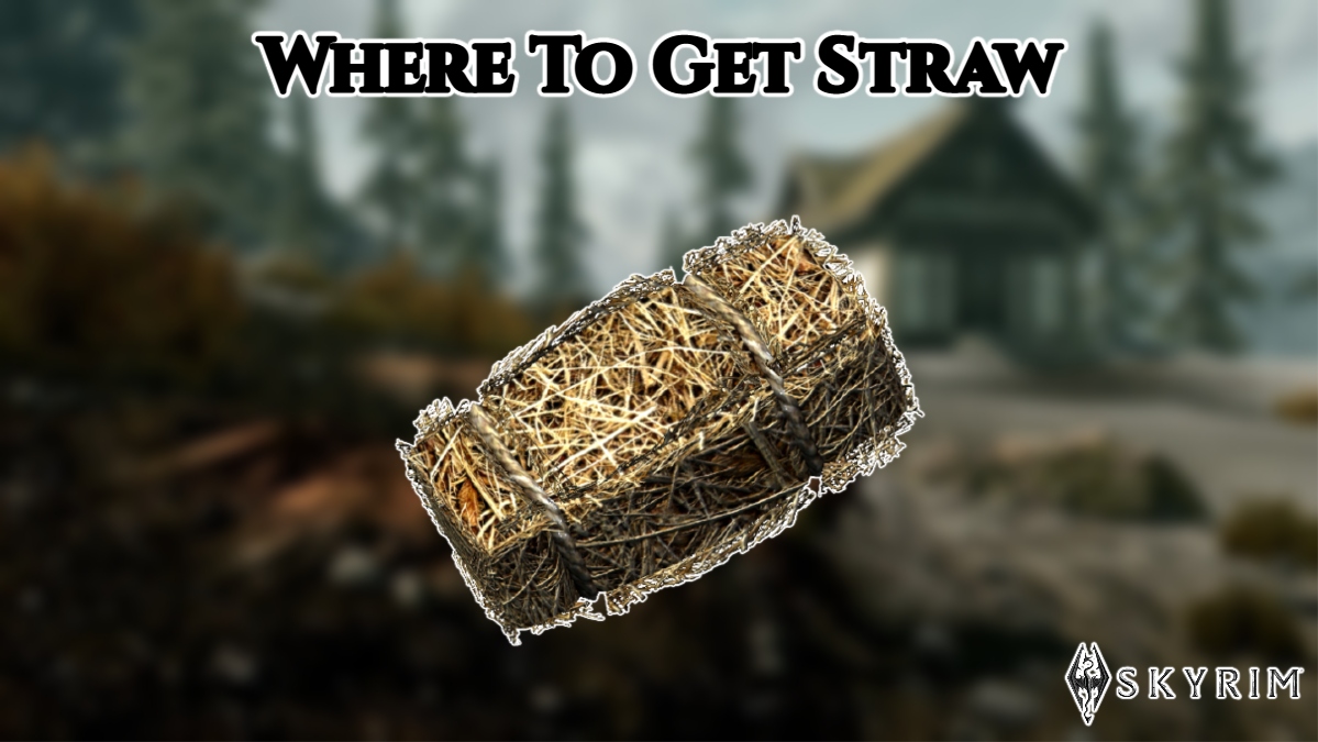 Read more about the article Where To Get Straw In Skyrim