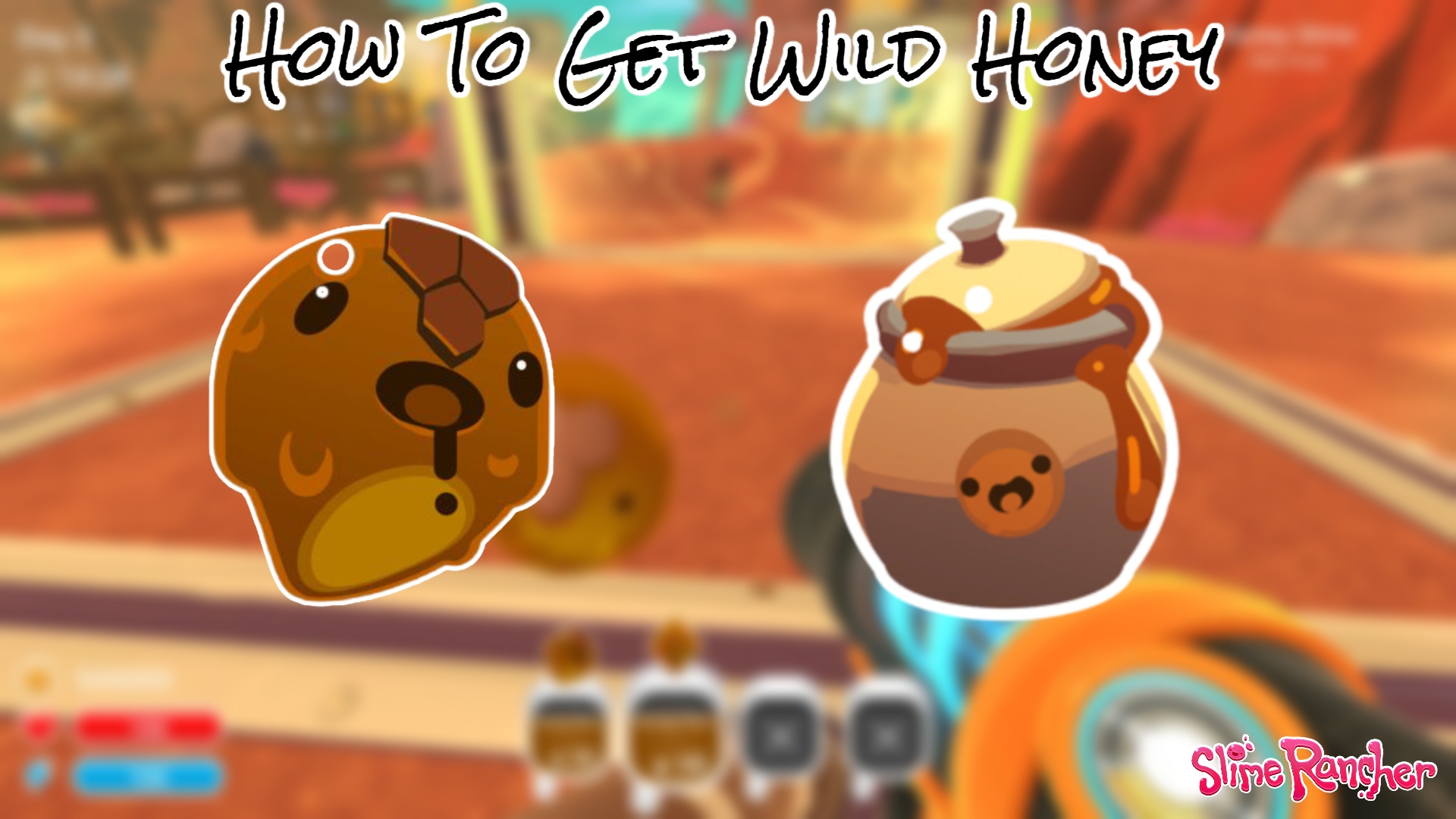 You are currently viewing How To Get Wild Honey In Slime Rancher