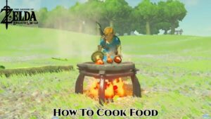 Read more about the article How To Cook Food In Zelda Breath Of The Wild