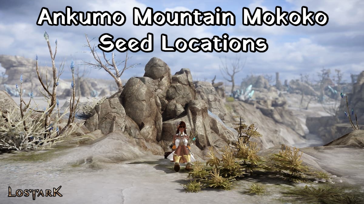 Read more about the article Ankumo Mountain Mokoko Seed Locations In Lost Ark 