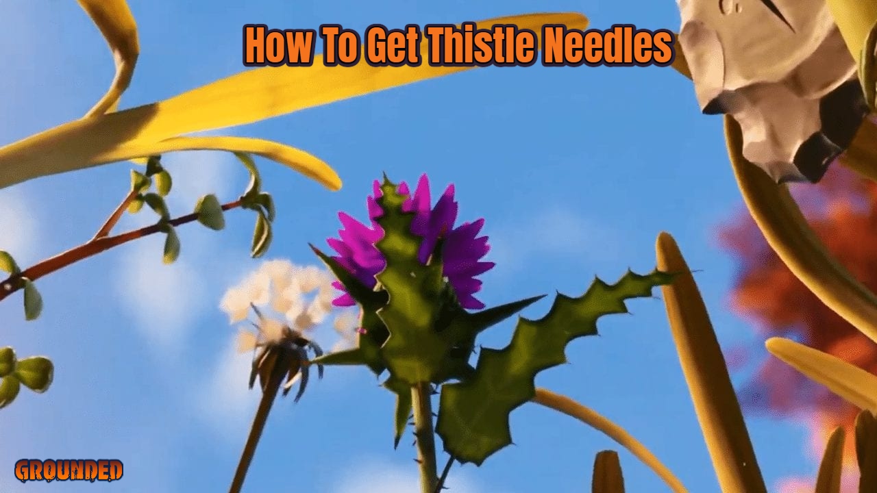 You are currently viewing How To Get Thistle Needles In Grounded