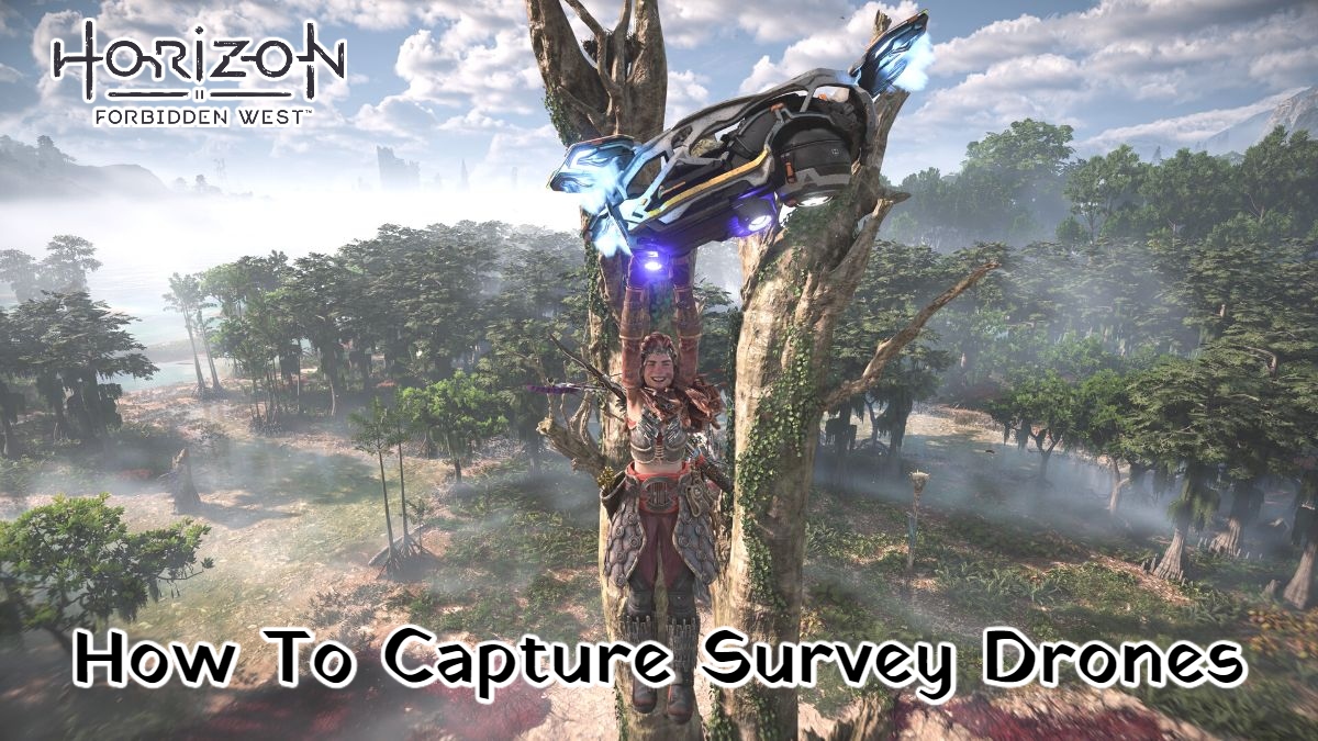 You are currently viewing How To Capture Survey Drones In Horizon Forbidden West