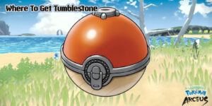 Read more about the article Where To Get Tumblestone In Arceus 