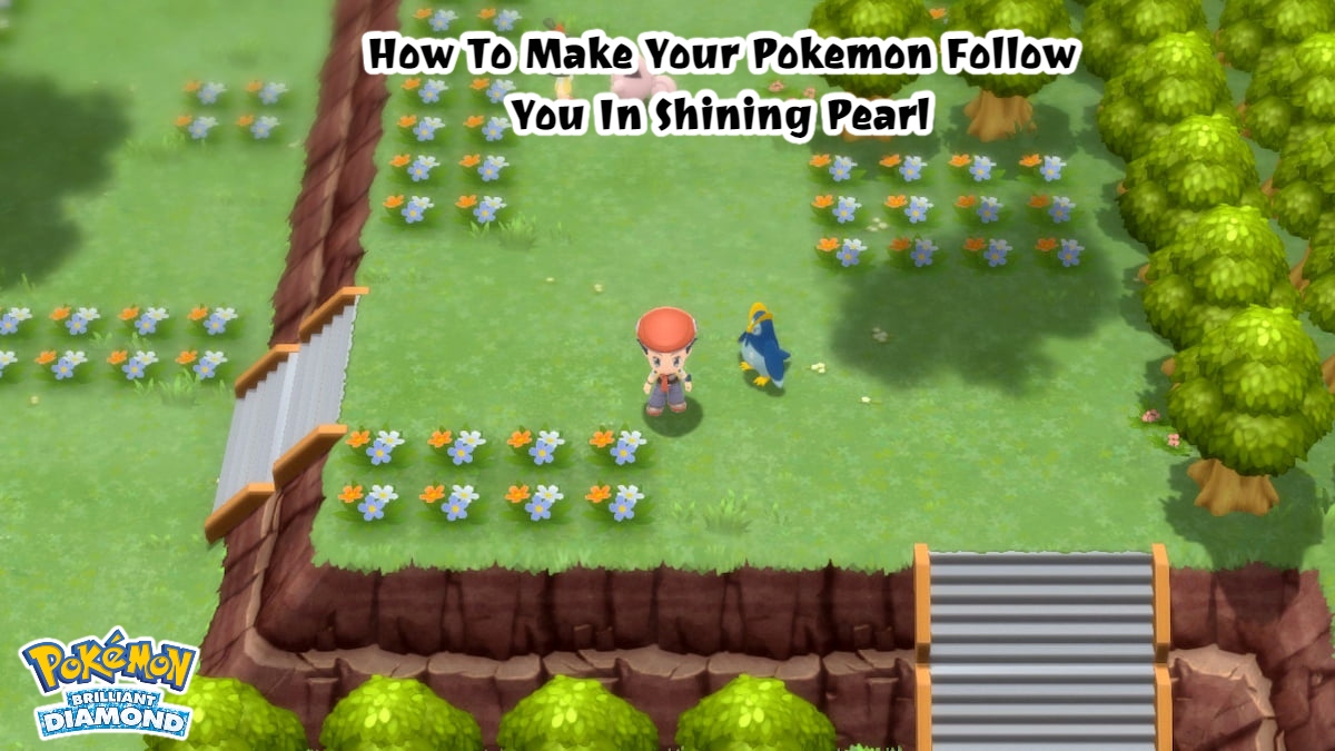 Read more about the article How To Make Your Pokemon Follow You In Pokemon Brilliant Diamond & Shining Pearl