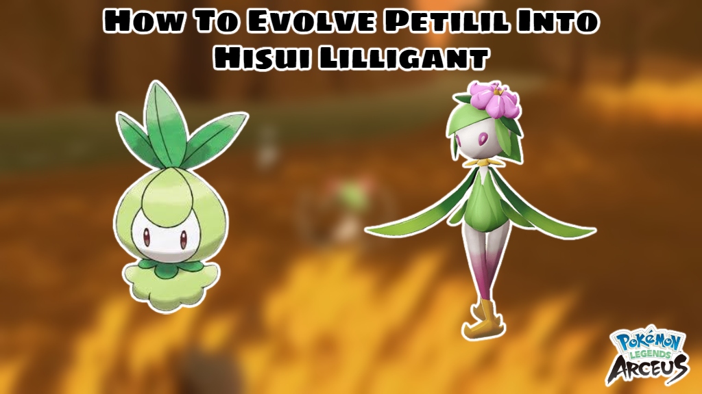 You are currently viewing How To Evolve Petilil Into Hisui Lilligant In Pokemon Legends Arceus