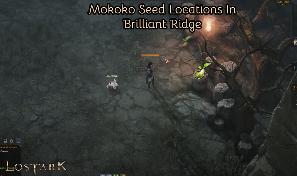 You are currently viewing Lost Ark: Mokoko Seed Locations In Brilliant Ridge