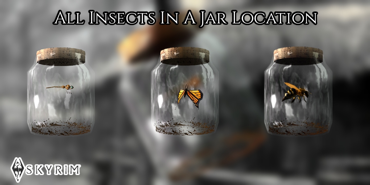You are currently viewing All Insects In A Jar Location In Skyrim