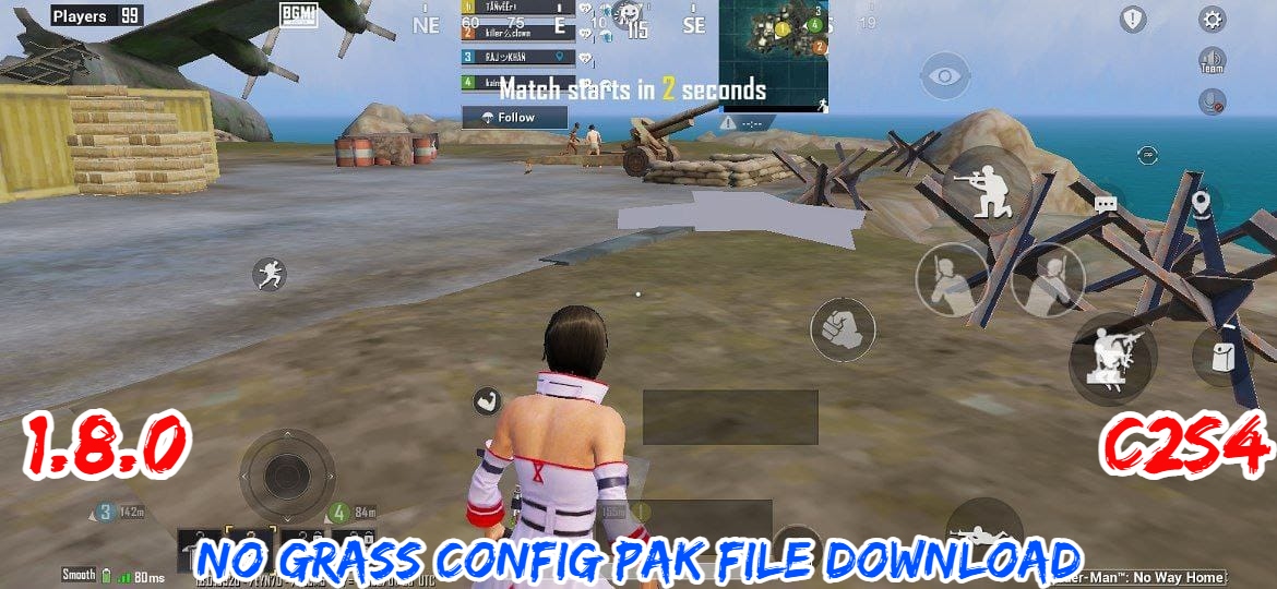 Read more about the article PUBG 1.8.0 No Grass Config Pak File Download C2S4