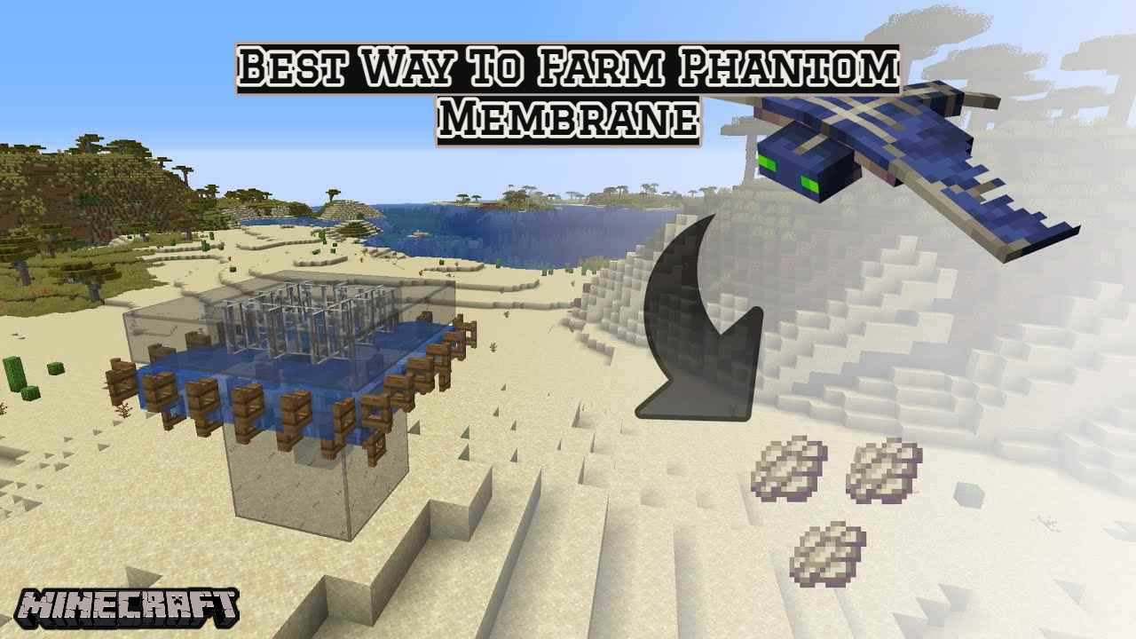 You are currently viewing Best Way To Farm Phantom Membrane In Minecraft 