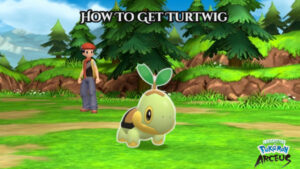 Read more about the article How To Get Turtwig In Pokemon Legends Arceus 