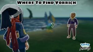 Read more about the article Where To Find Yorrich In Pokemon Arceus