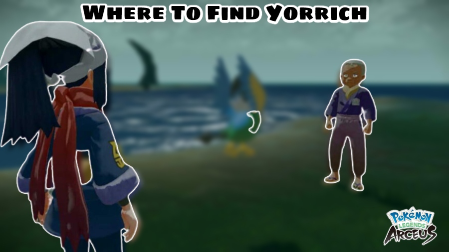 Read more about the article Where To Find Yorrich In Pokemon Arceus