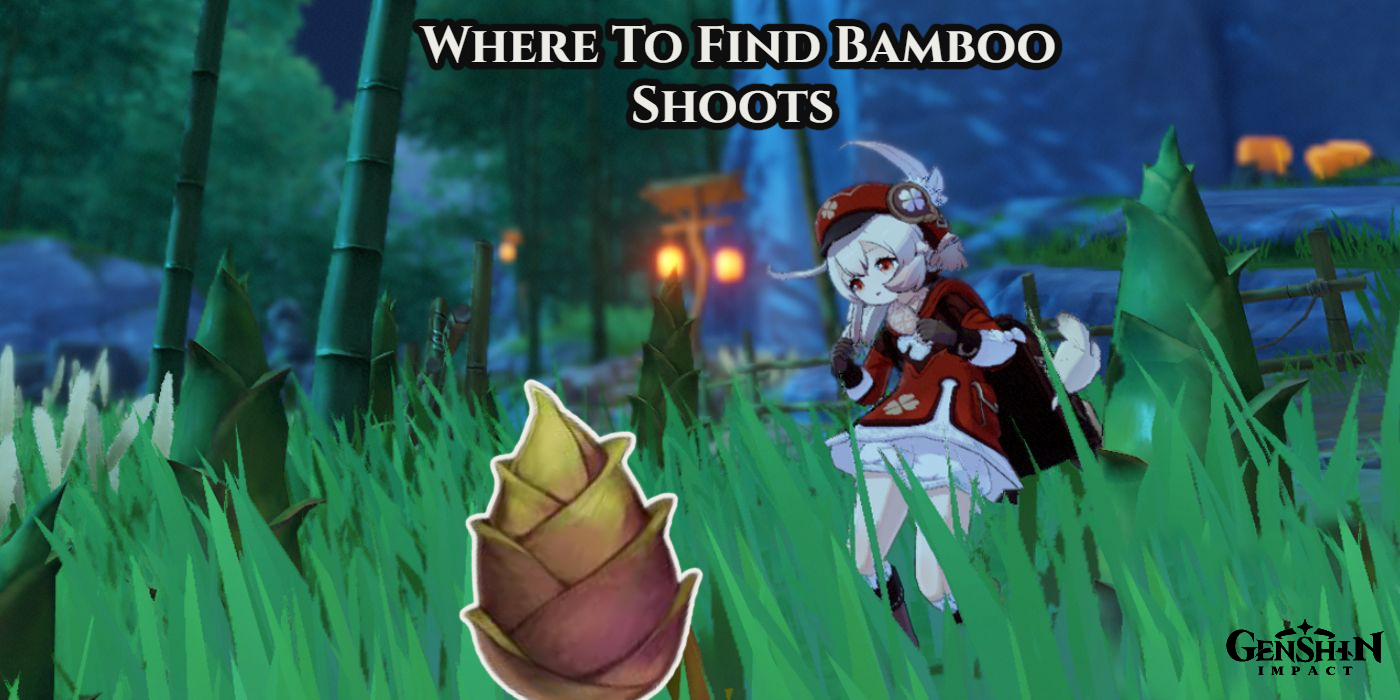 You are currently viewing Where To Find Bamboo Shoots In Genshin Impact 