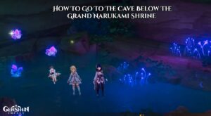 Read more about the article How To Go To The Cave Below The Grand Narukami Shrine In Genshin Impact