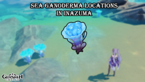 Read more about the article Genshin Impact: Sea Ganoderma Locations In Inazuma