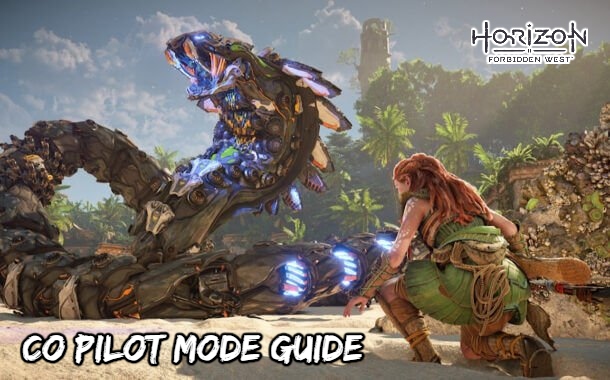 You are currently viewing Co Pilot Mode Guide In Horizon Forbidden West