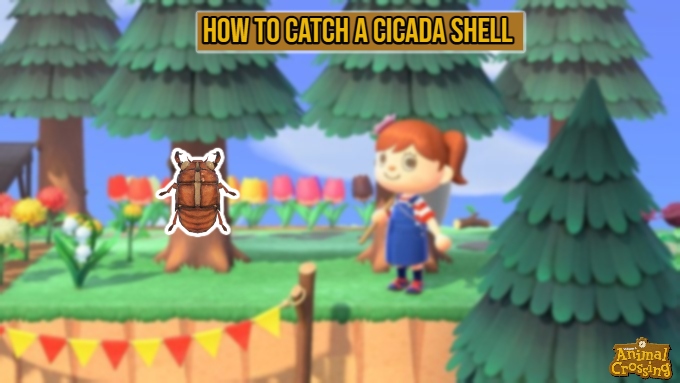 You are currently viewing How To Catch A Cicada Shell In Animal Crossing New Horizons