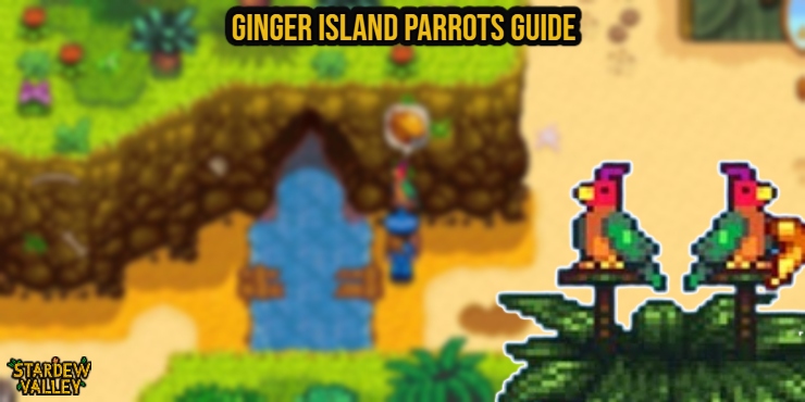 You are currently viewing Ginger Island Parrots Guide In Stardew Valley