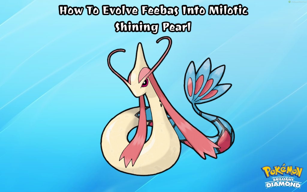 You are currently viewing How To Evolve Feebas Into Milotic In Pokemon Brilliant Diamond & Shining Pearl