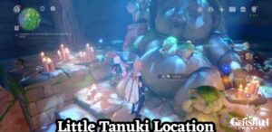 Read more about the article Little Tanuki Location Genshin Impact