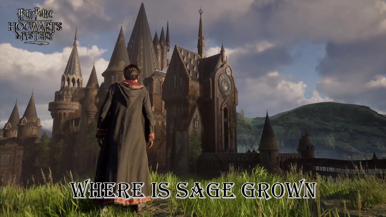 Read more about the article Hogwarts Mystery: Where is Sage Grown in Harry Potter