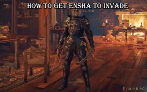 Read more about the article Elden Ring: How To Get Ensha To Invade