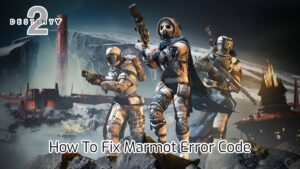 Read more about the article Destiny 2: How To Fix Marmot Error Code