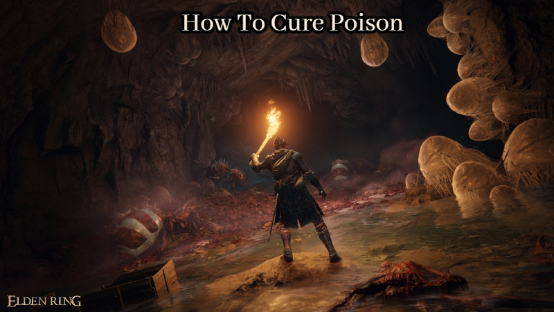 You are currently viewing How To Cure Poison In Elden Ring 
