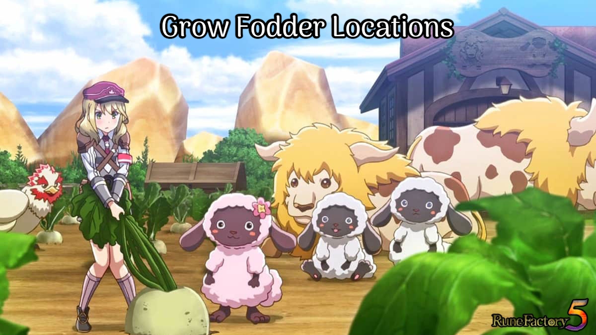 You are currently viewing Grow Fodder Locations In Rune Factory 5