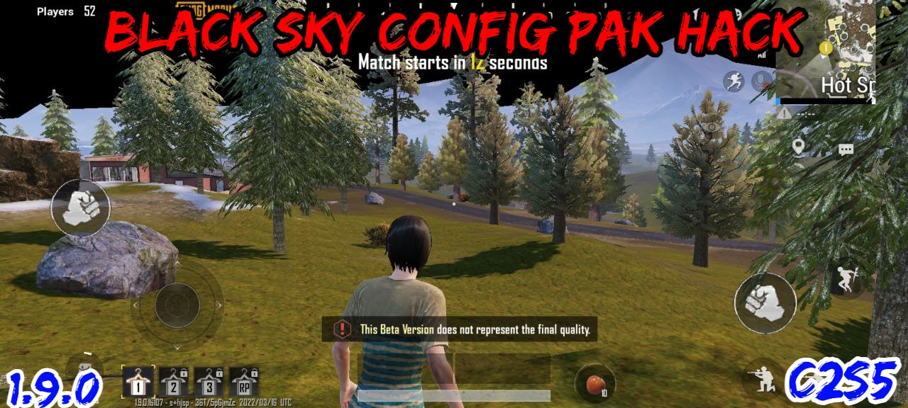 Read more about the article PUBG 1.9.0 Black Sky Config Pak Hack C2S5